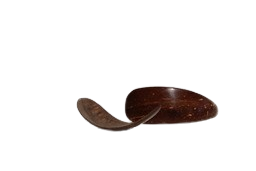 Traditional Coconut Shell Pickle Spoon | Set of 2 | Eco Friendly | Natural & Handmade 